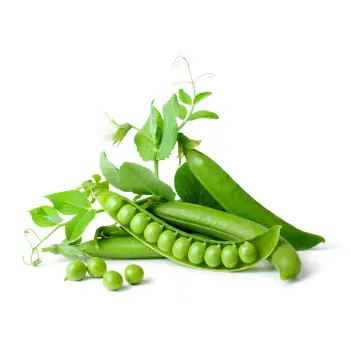green peas (9)-8064379-75398.webp